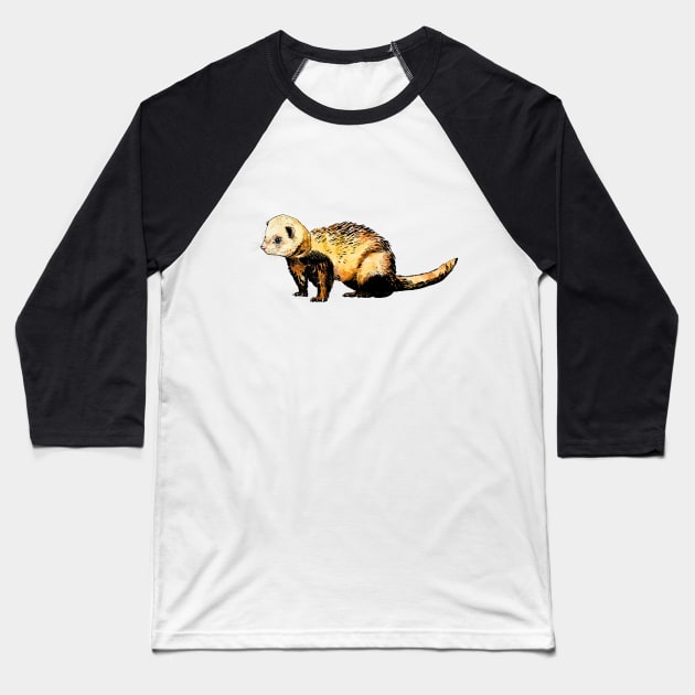 ferret Baseball T-Shirt by VicaVeresk